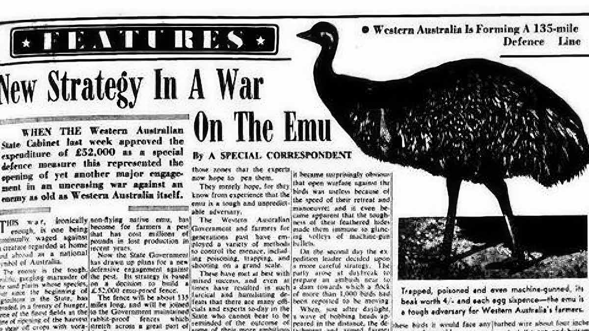 newspaper article emu
