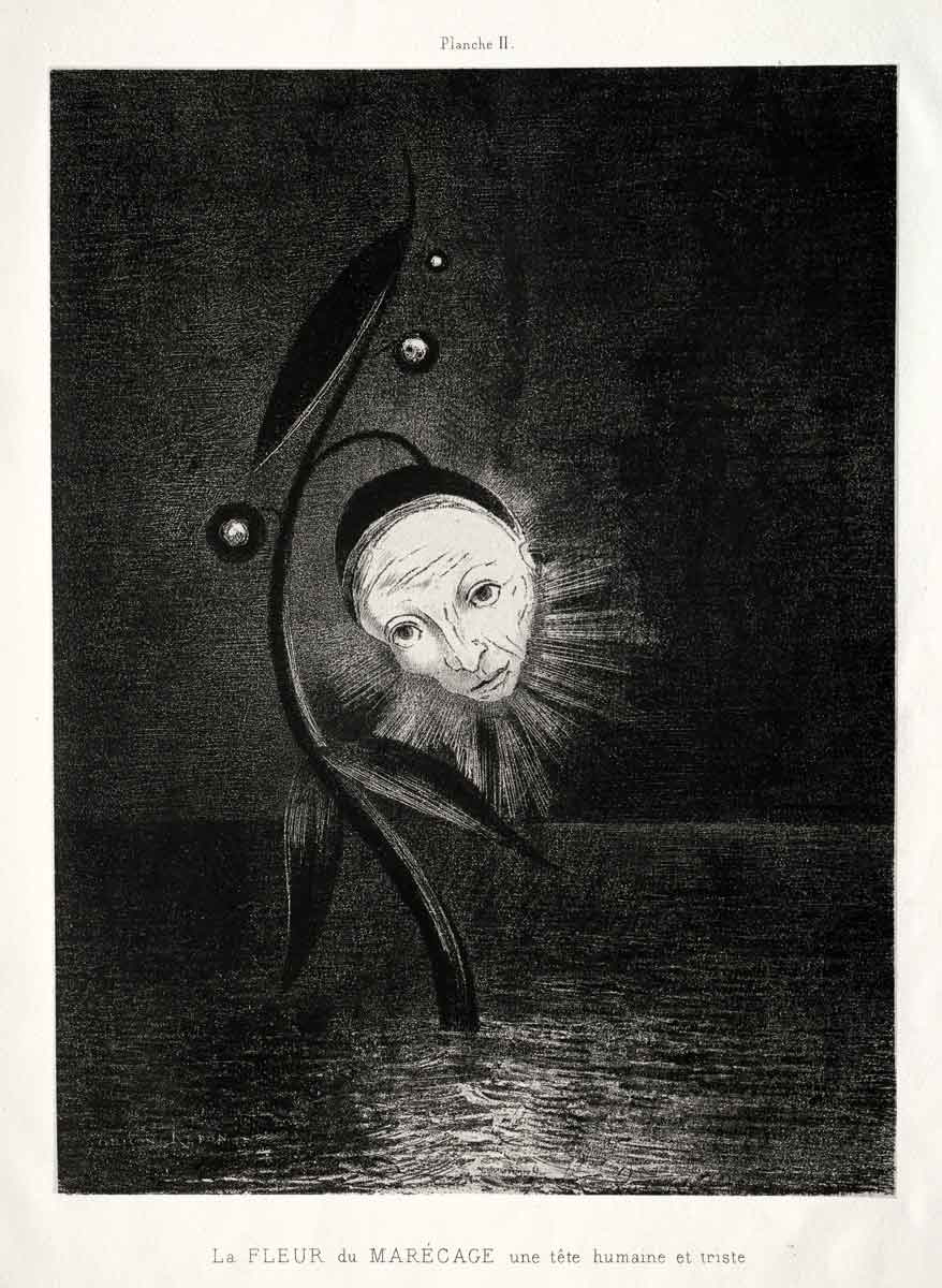 odilon redon marsh flower sad face etching