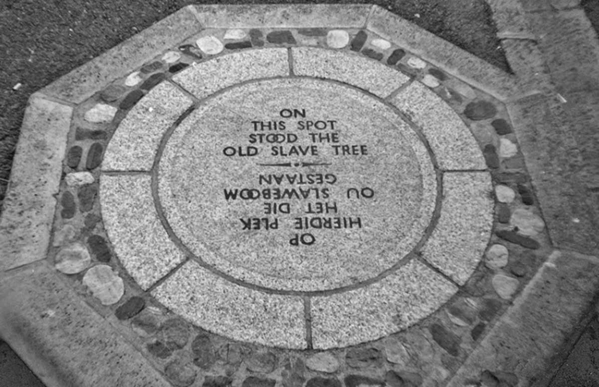 slave tree memorial