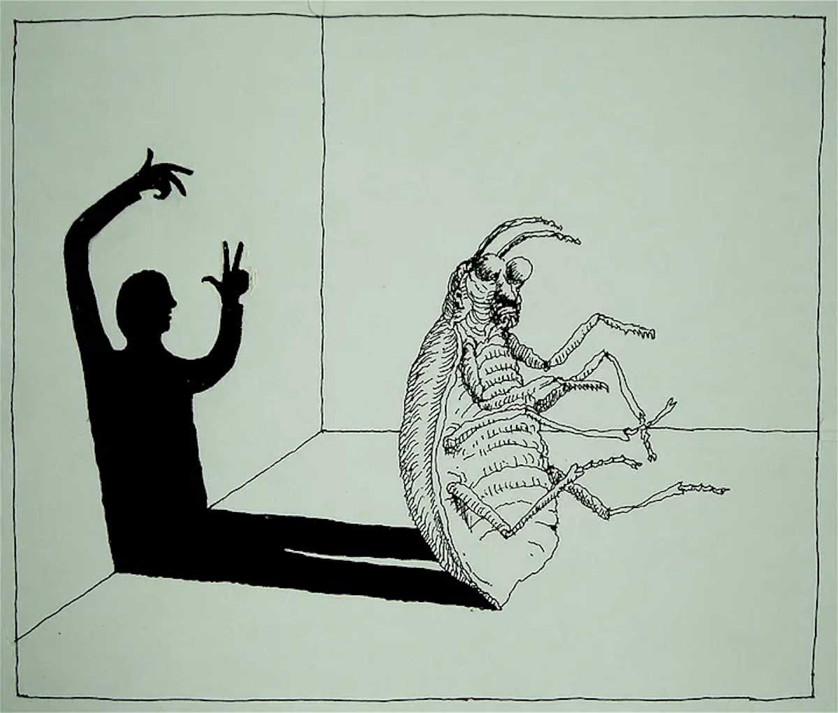 the metarmophosis