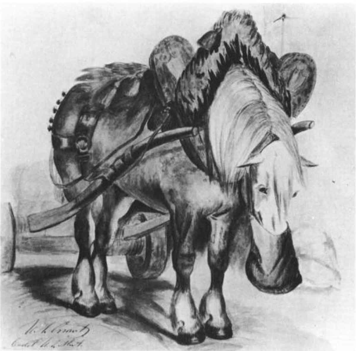 ulysses s grant horse