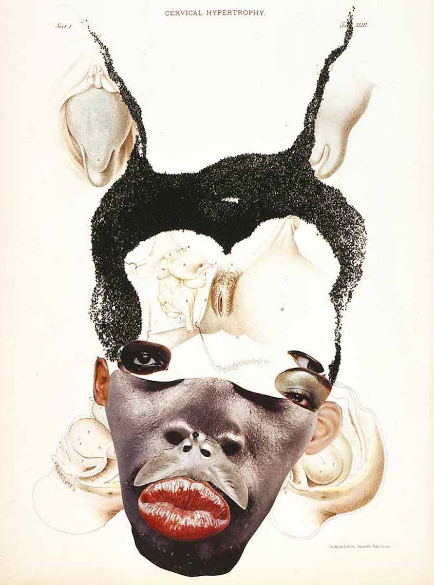wangechi mutumutu hypertrophy collage