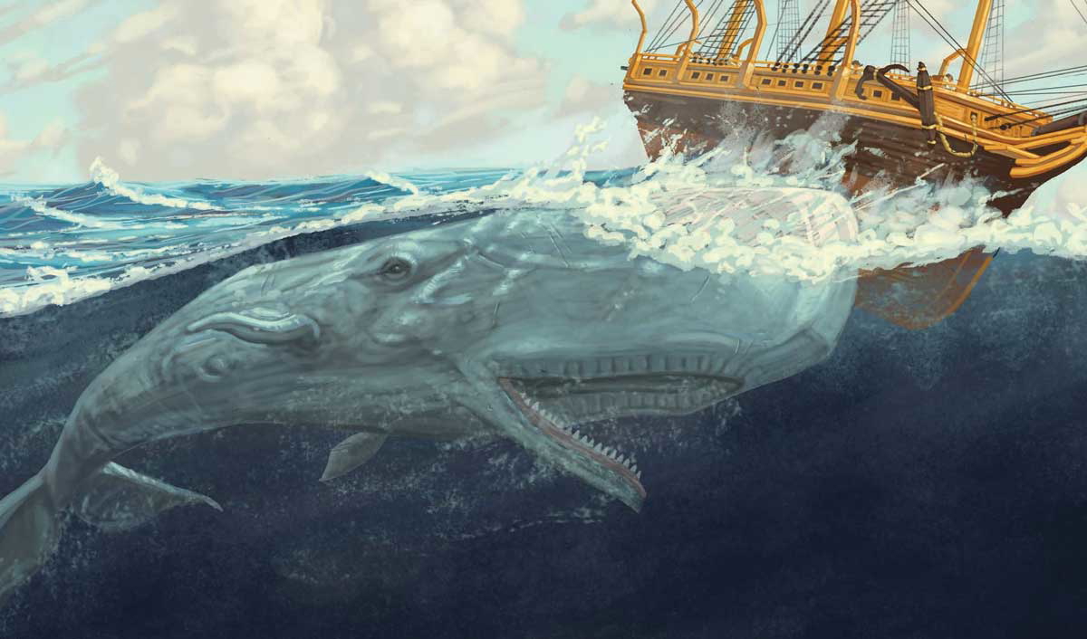 whaleship essex attack