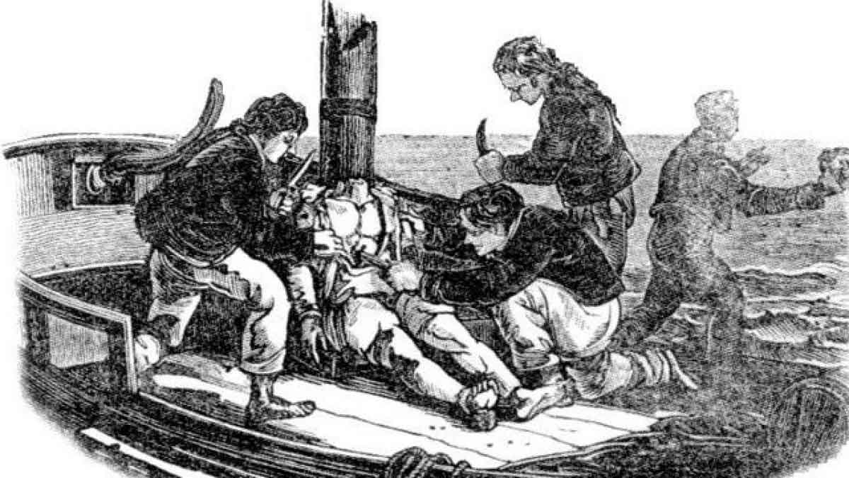 whaleship essex custom sea