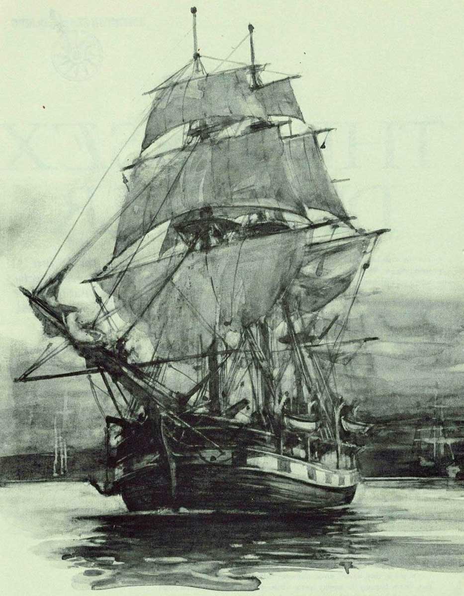 Whaleship Essex: The Terrifying Story That Inspired Moby Dick