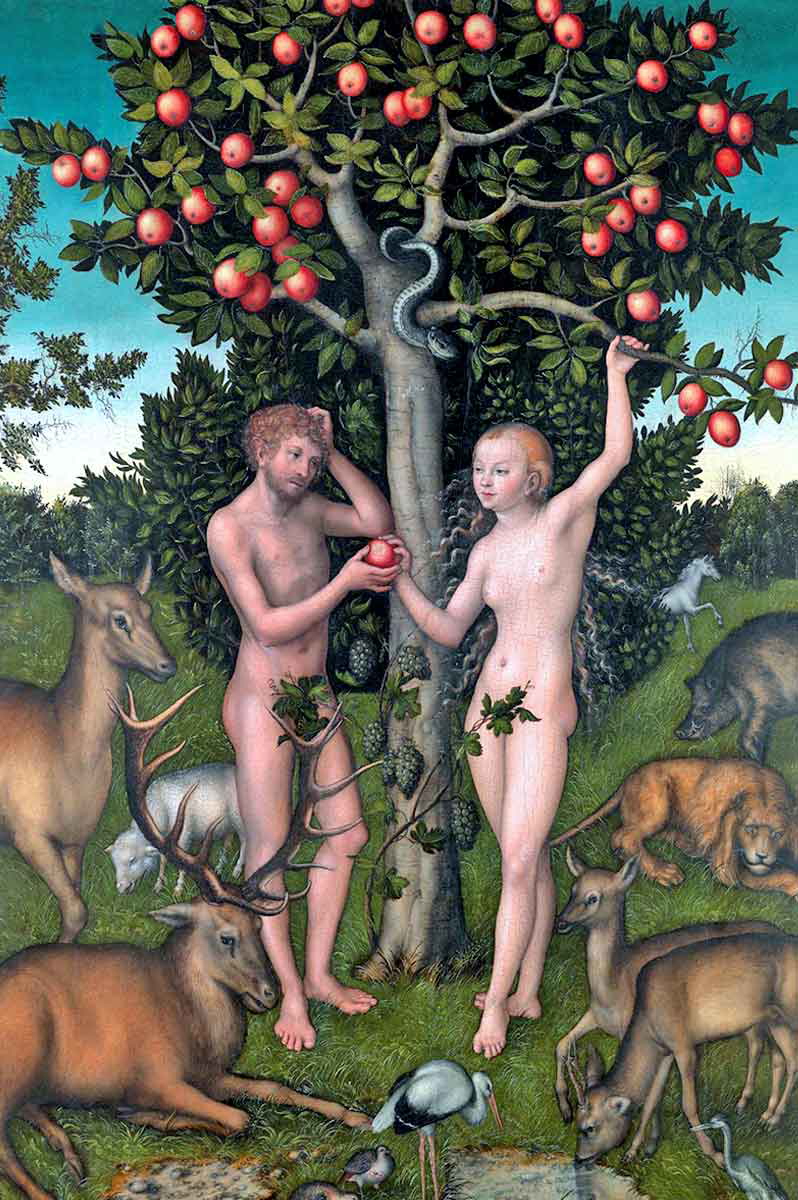 adam eve cranach courtauld
