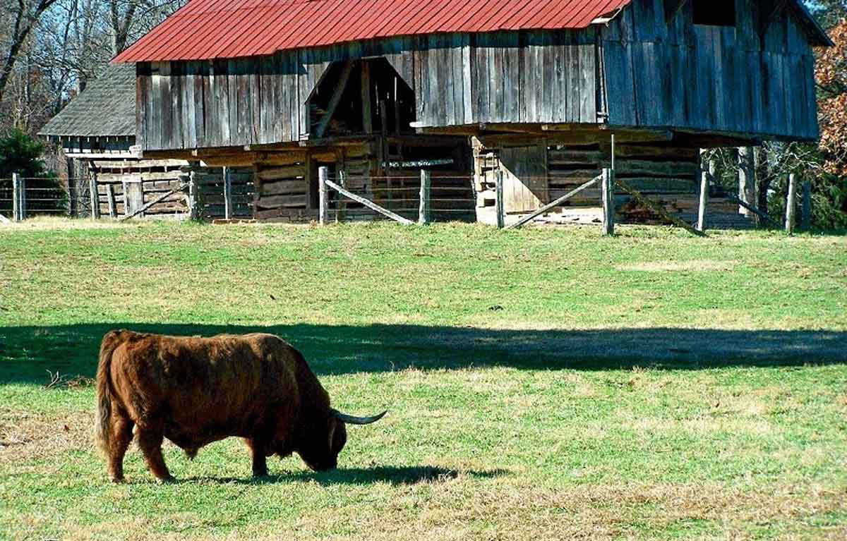 appalachia cow barn museum