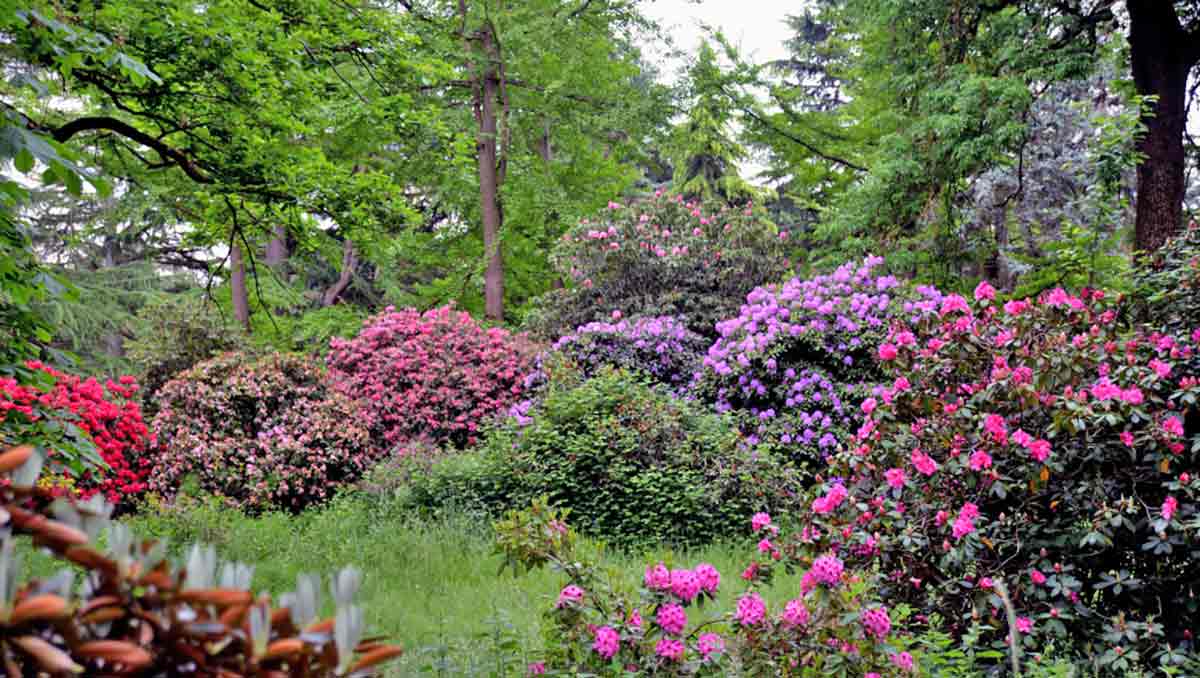 jardin des plantes