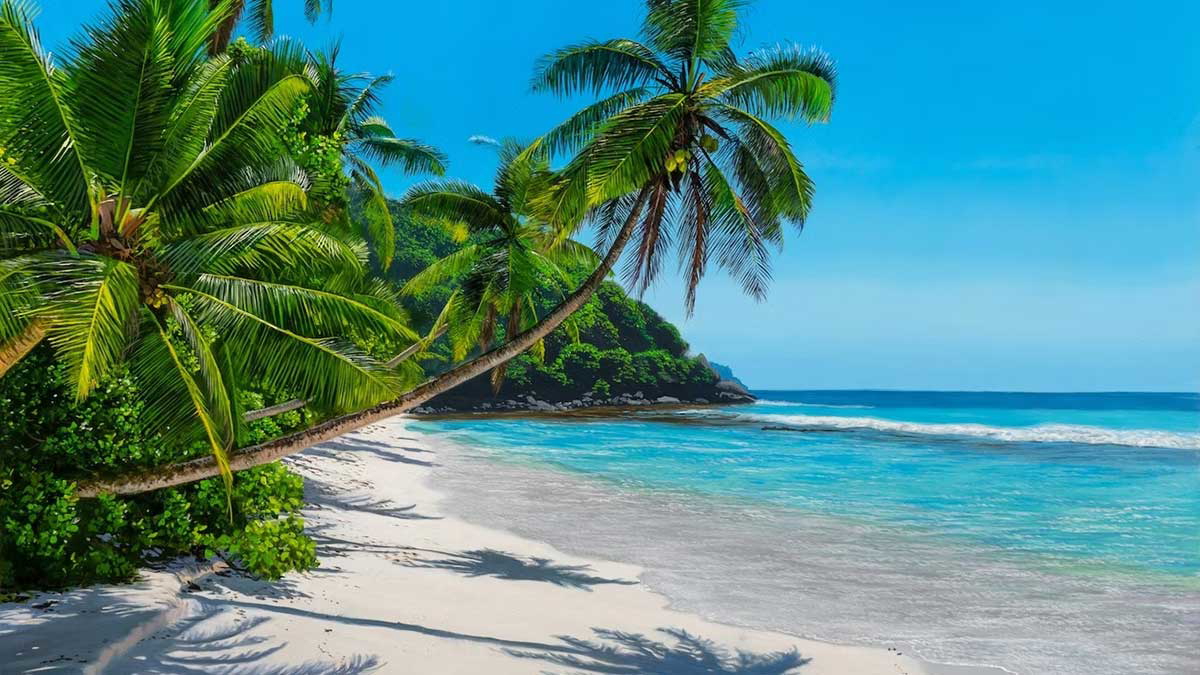 michael james smith paradise sands