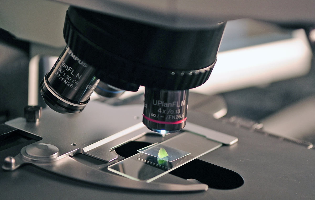microscope photograph colour