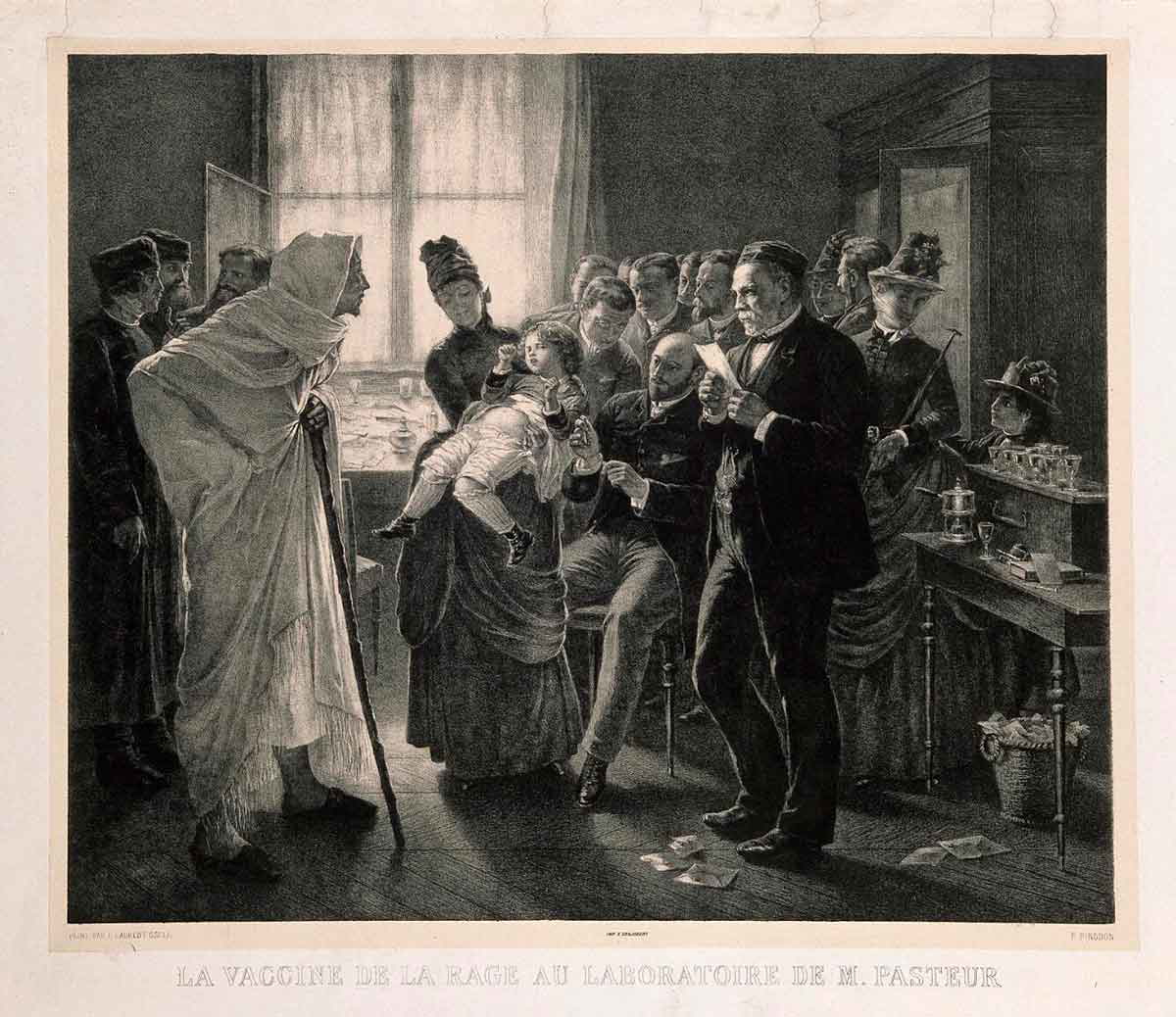pasteur rabies vaccination