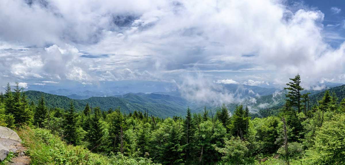summer view smoky mountains