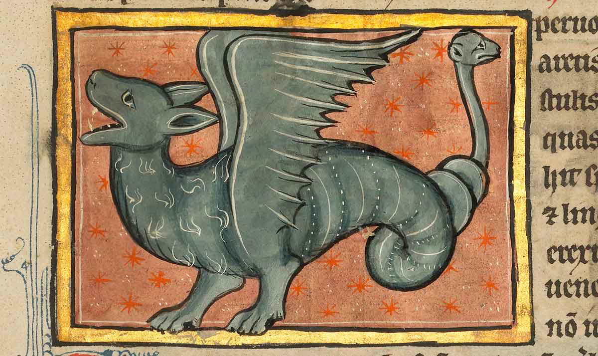 winged dragon medieval manuscript bestiary