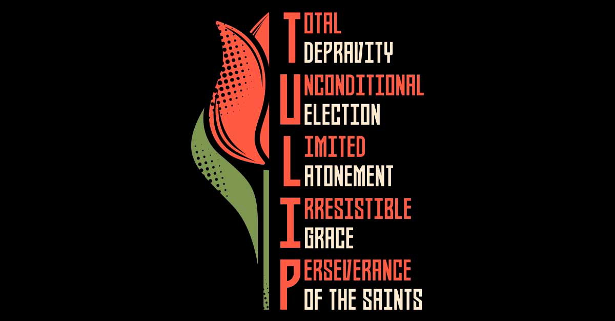 5 points of calvinism tulip artwork