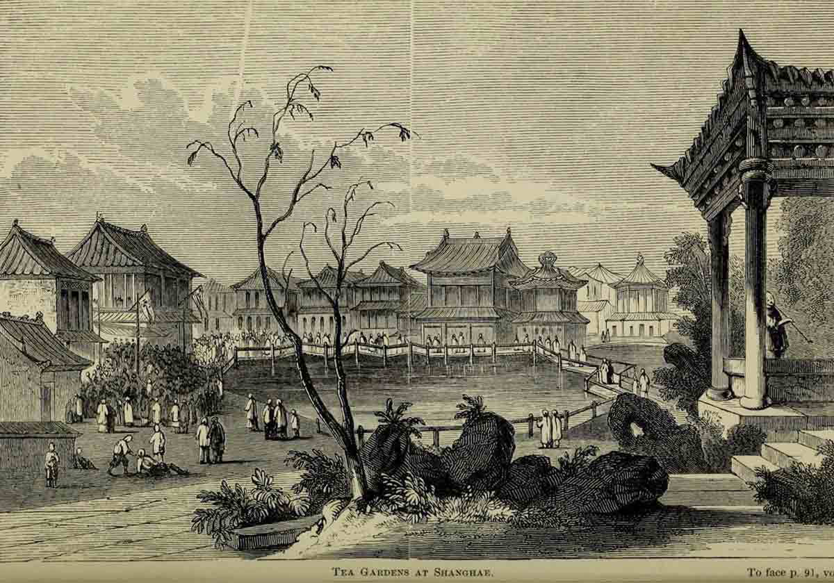 Why Do the British Love Tea so Much?