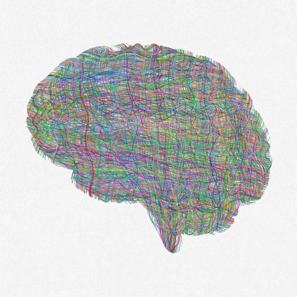 brain illustration2