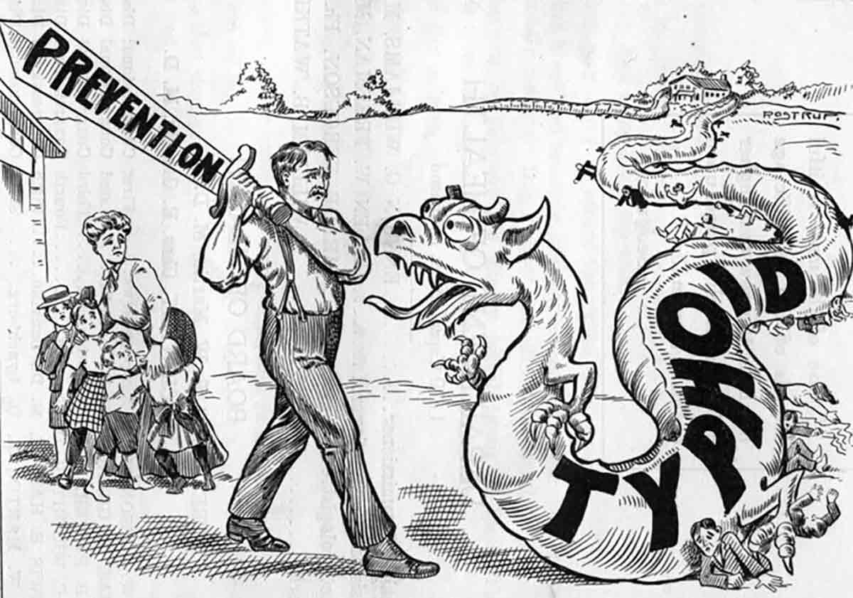 cartoon typhoid dragon