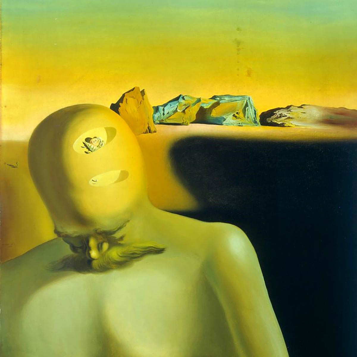 cranial reflection salvador dali