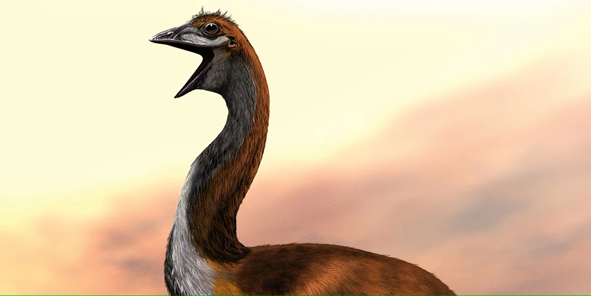 elephant bird computer generated image