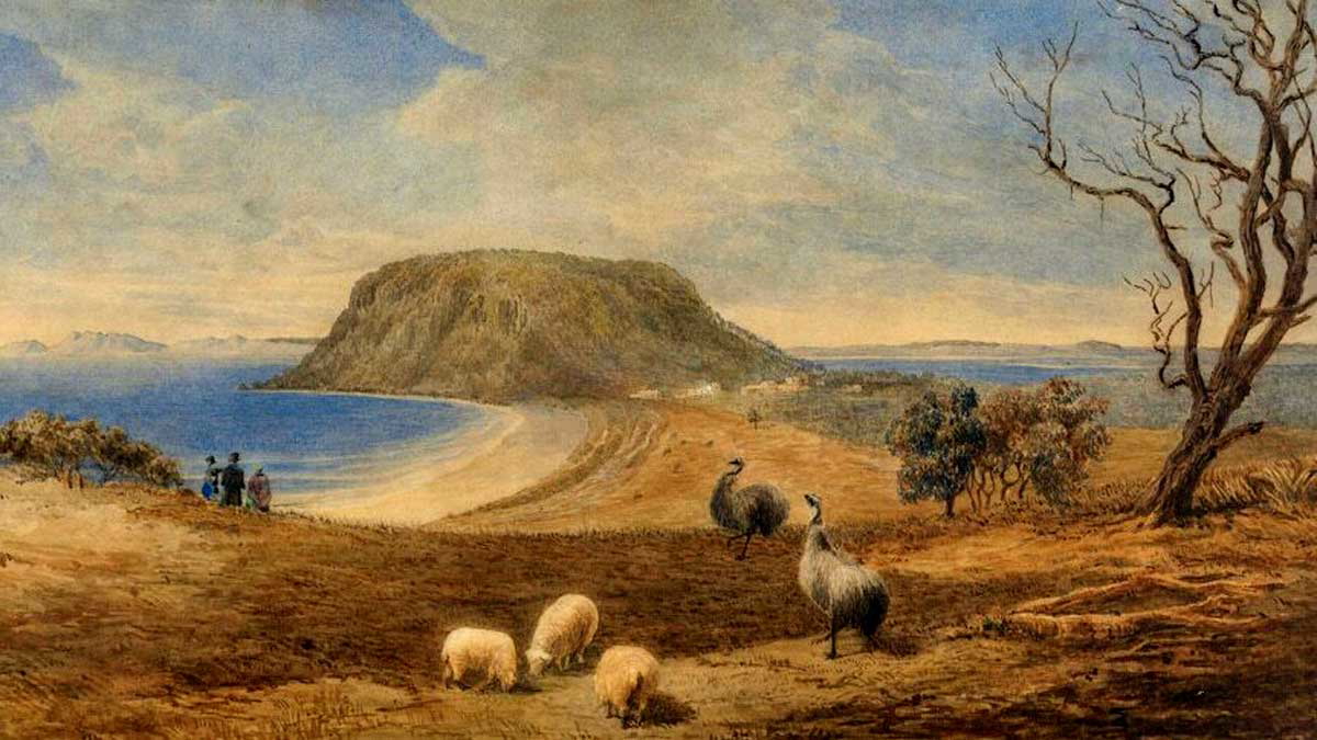 emus and sheep in field painting