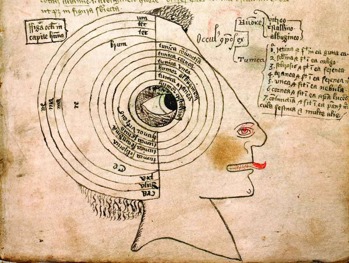 eye perception