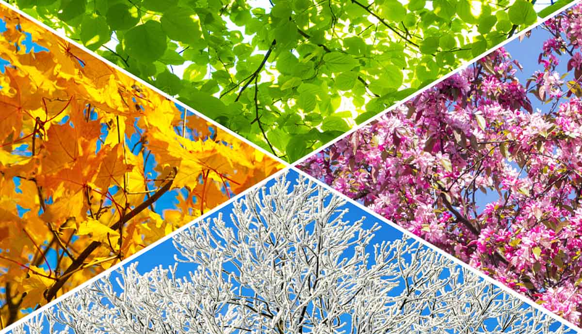 how did the seasons get their names