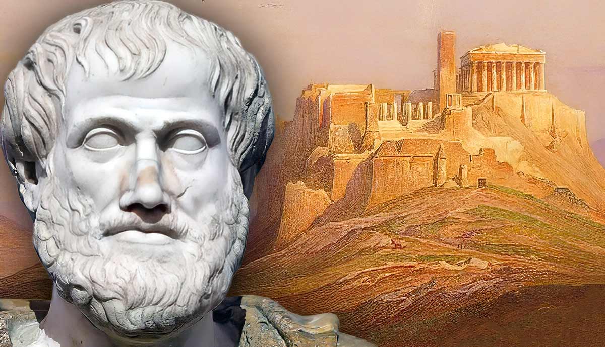 law aristotle politics