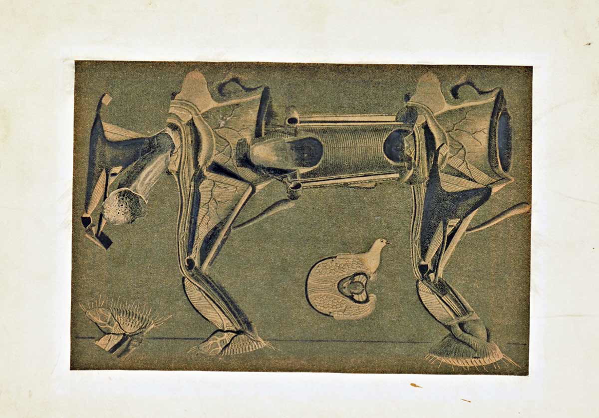 max ernst horse sick collage