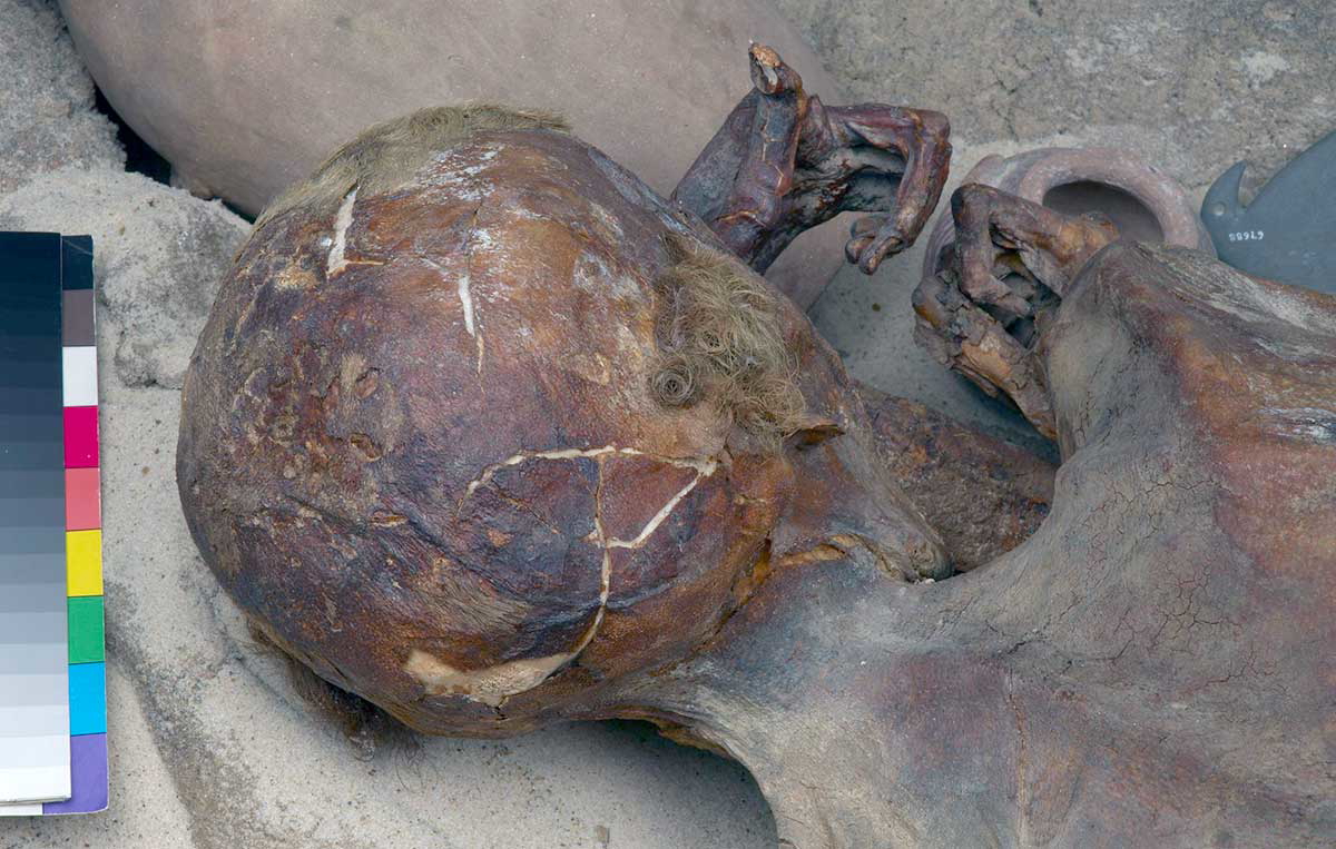 mummy of young man predynastic