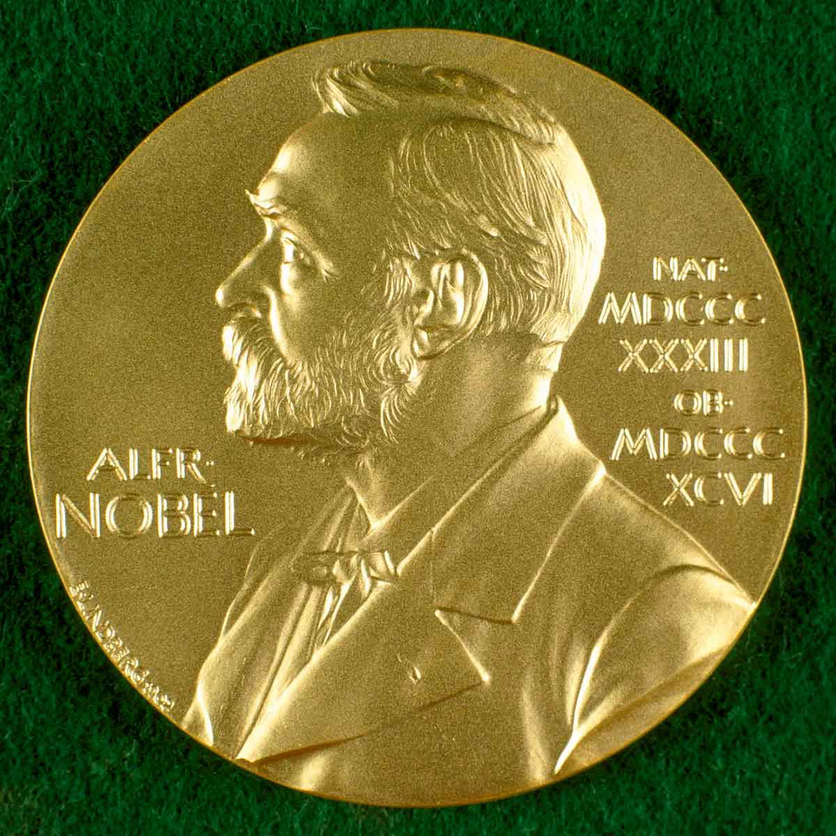 nobel prize medallion
