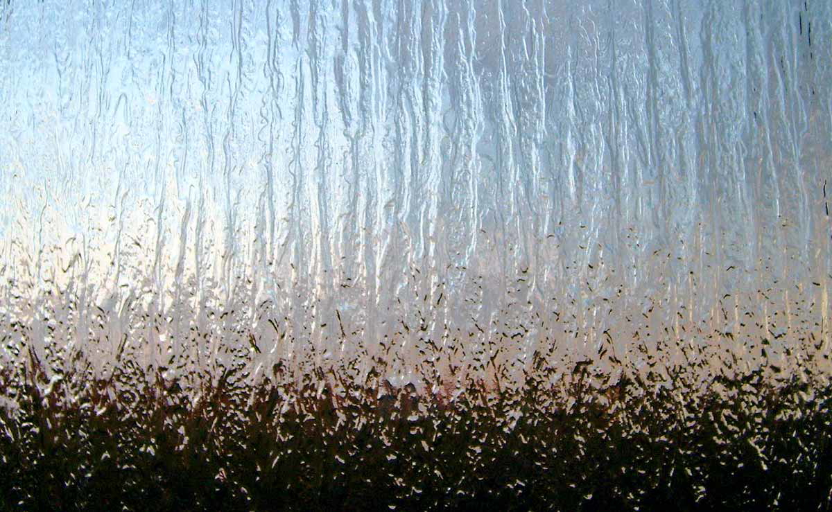Opaque Glass, Titus Tscharntke, Date Unknown 