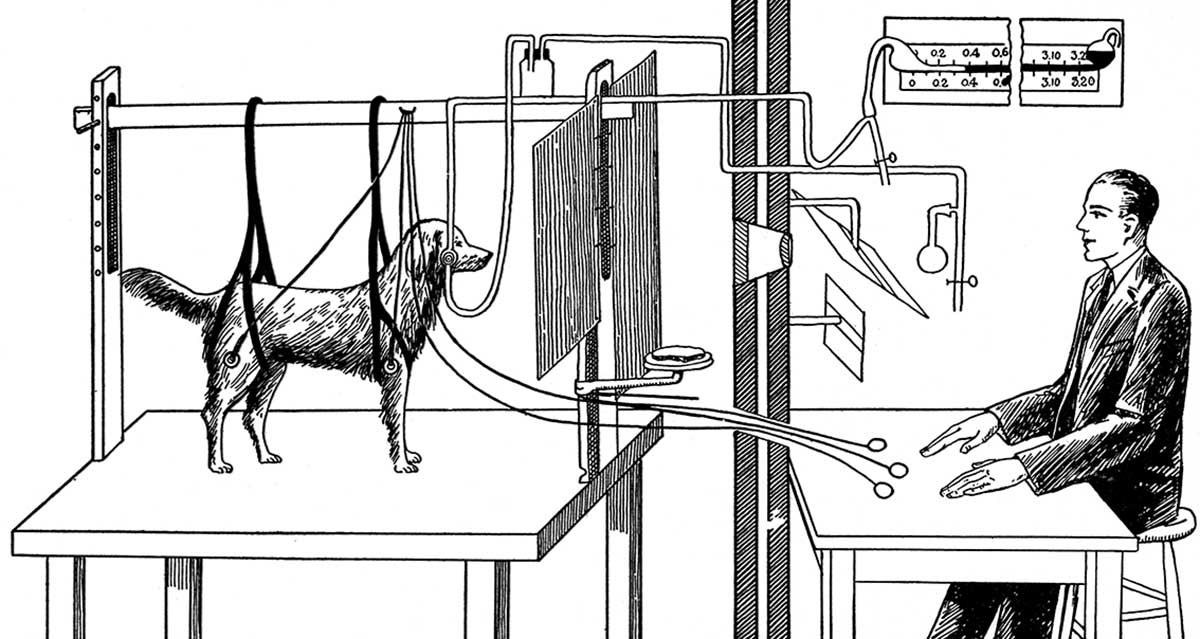 pavlov experiment illustration