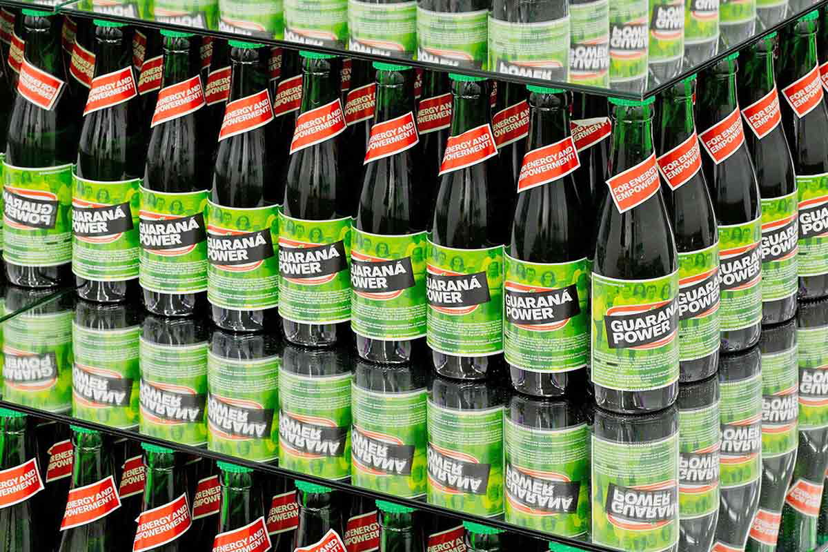 relational aesthetics superflex guarana power