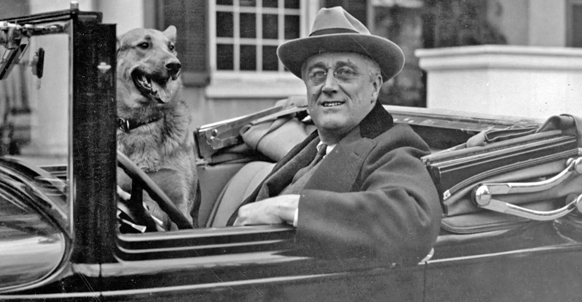 roosevelt dog car photograph