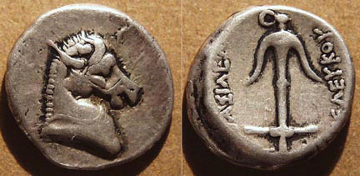 seleucus coin 2