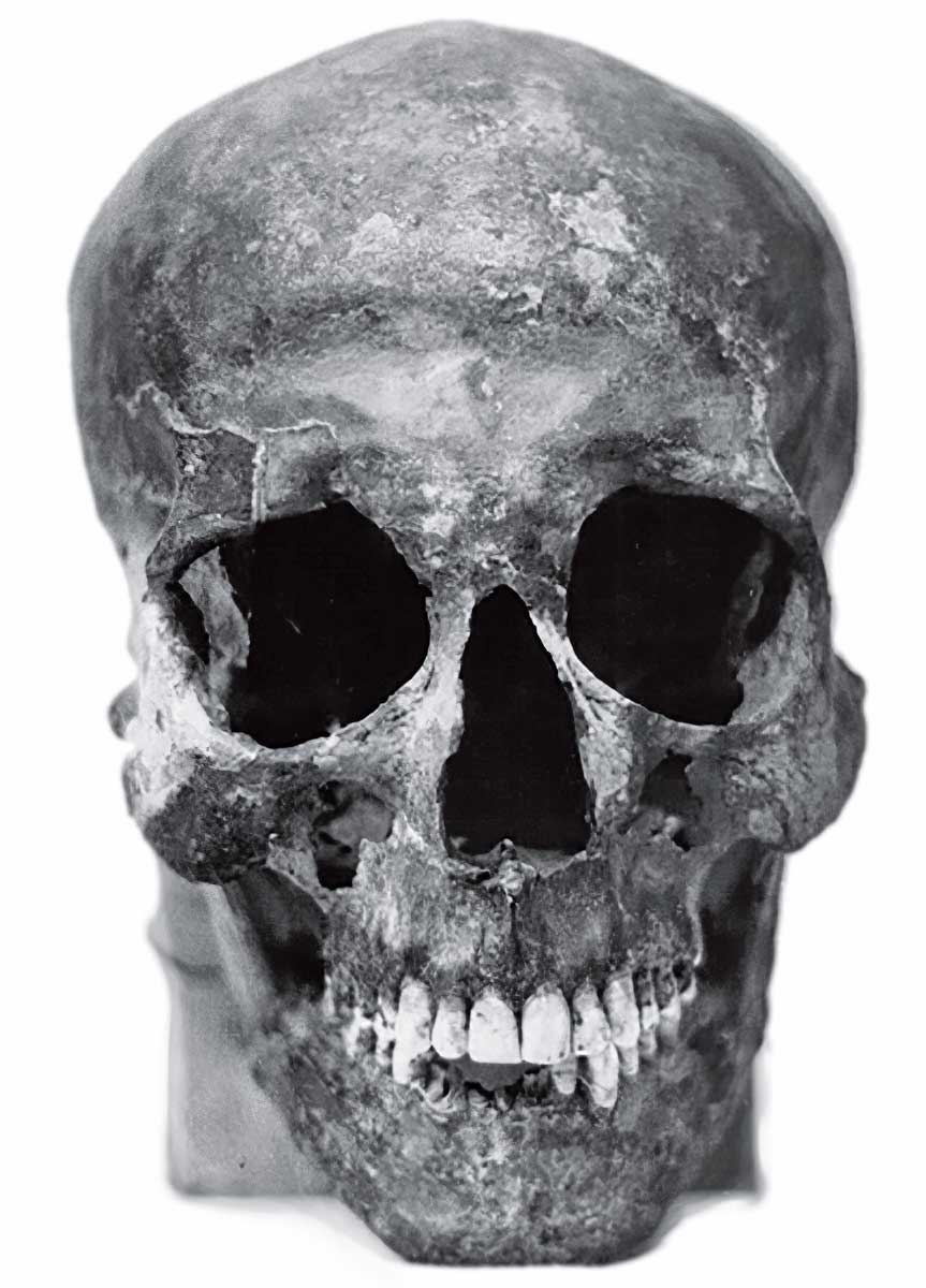 strouhal kv55 skull