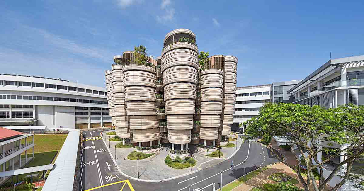 thomas heatherwick learning hub