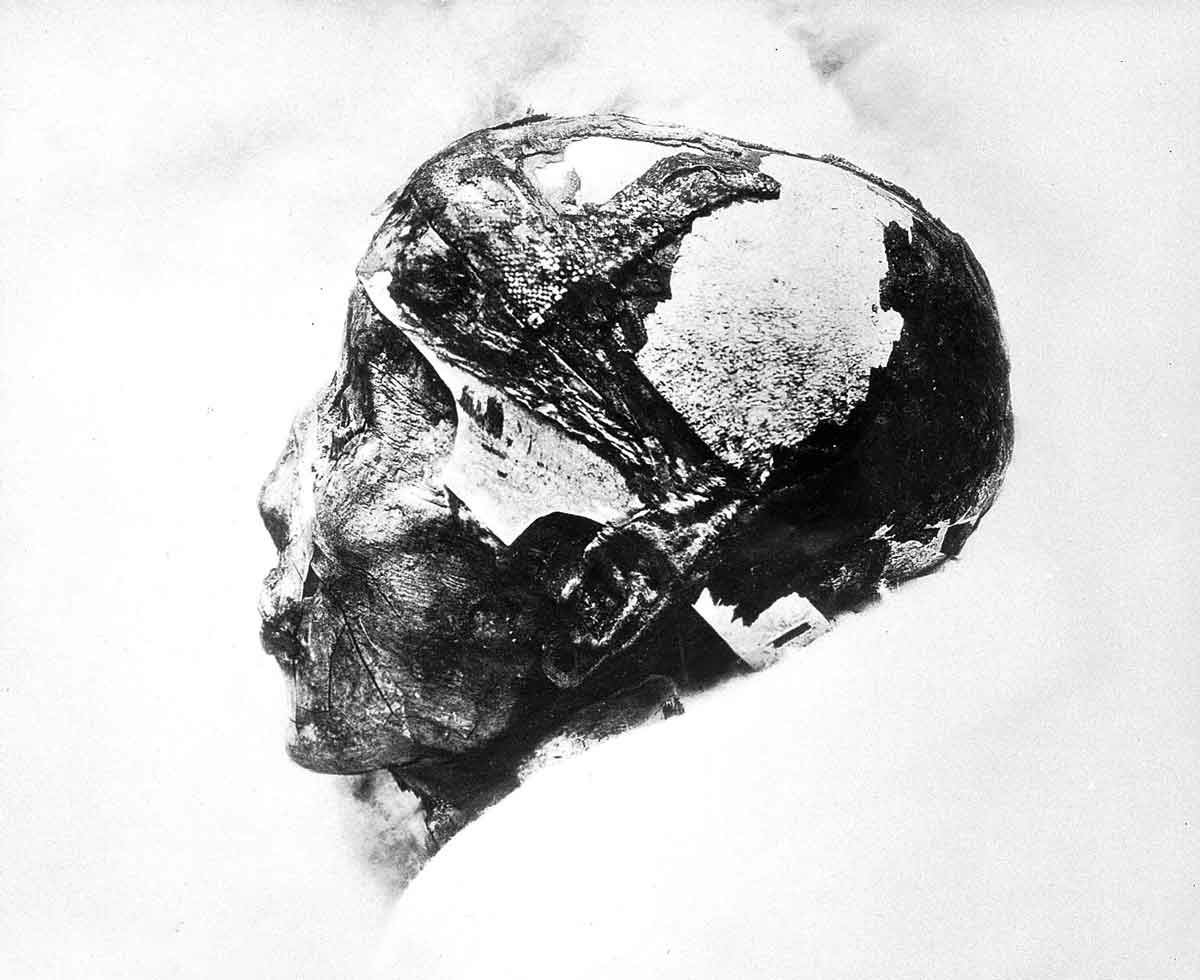The mummified head of King Tut
