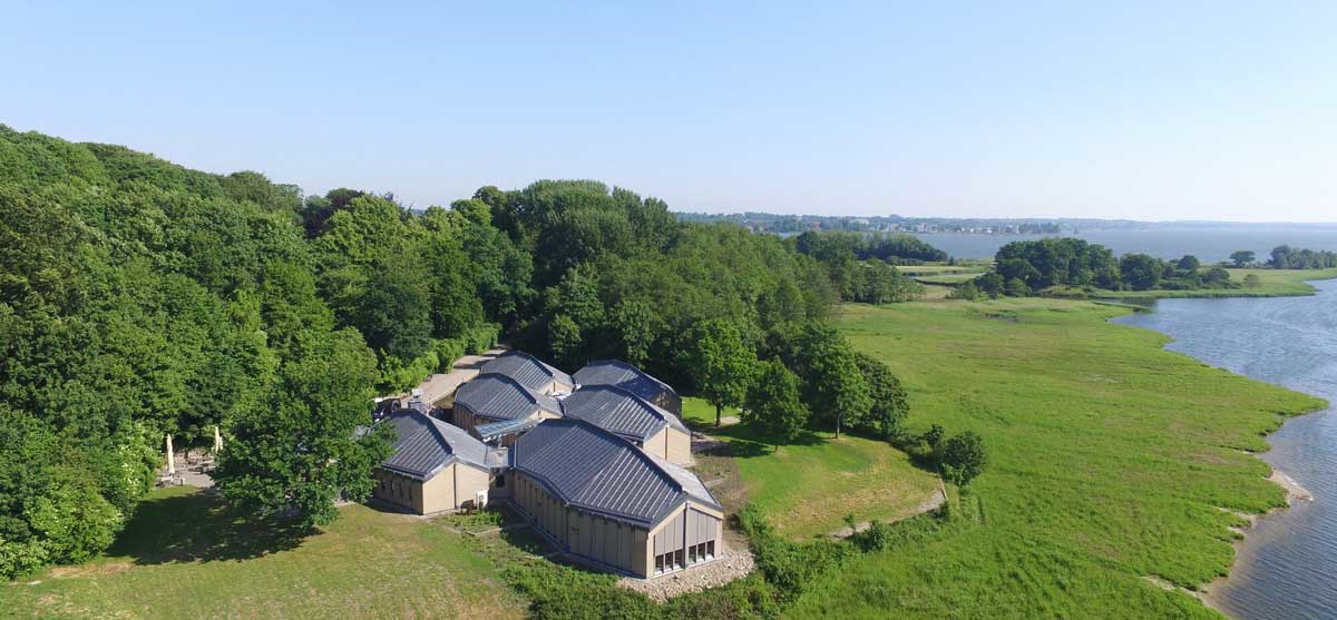 viking hedeby