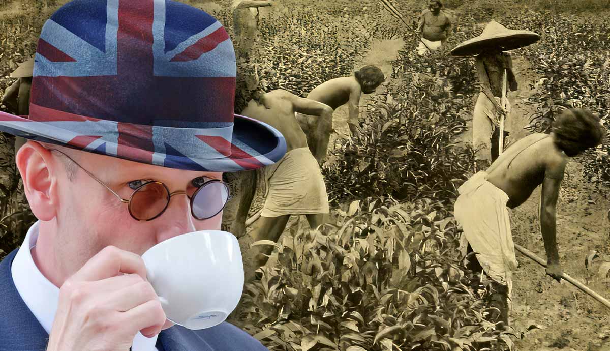 why do the british love tea so much