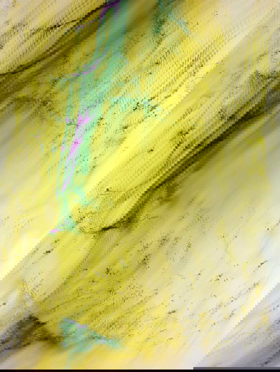 wolfgang tillmans freischwimmer 117