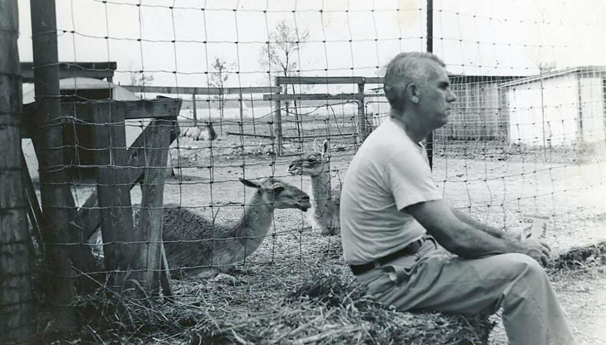 Petting Zoo, Photographer Unknown, 1951. Source: Wikimedia.