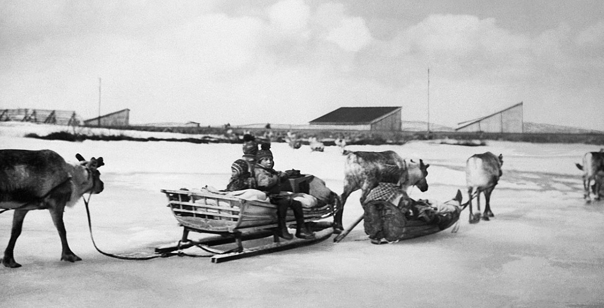 Sami people traveling with reindeer and sleighs on the ice on Lake Luossajärvi near Kiruna in Swedish Lappland (1930). Source: Wikimedia Commons 