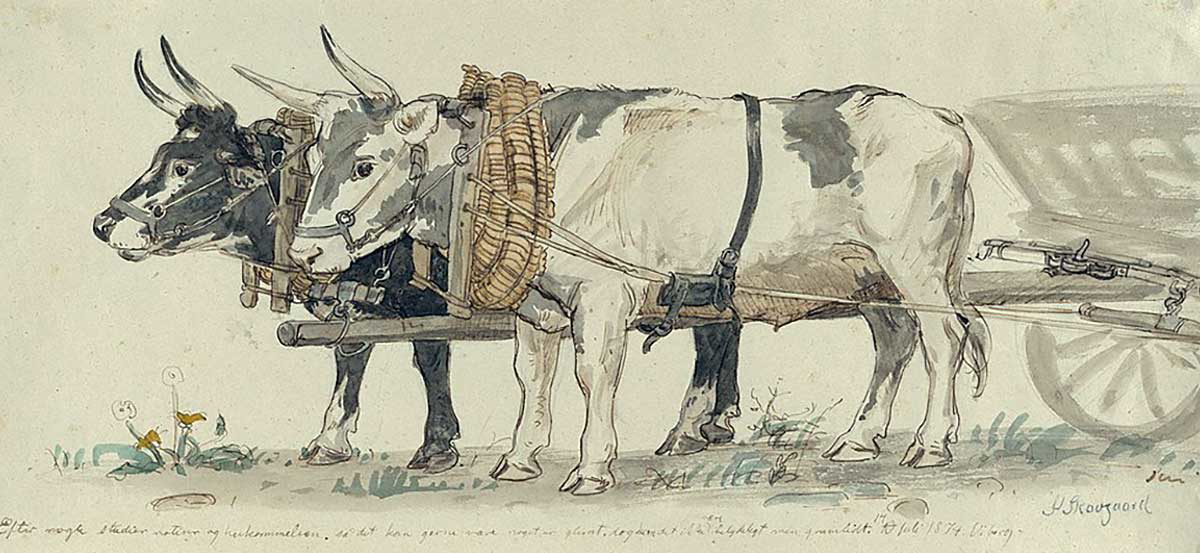 Two Oxen Pulling a Cart, Peter Christian Thamsen Skovgaard, 1874. Source: Metropolitan Museum of Art