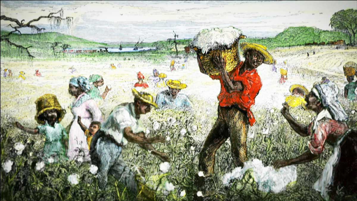 agriculture invention cotton slavery