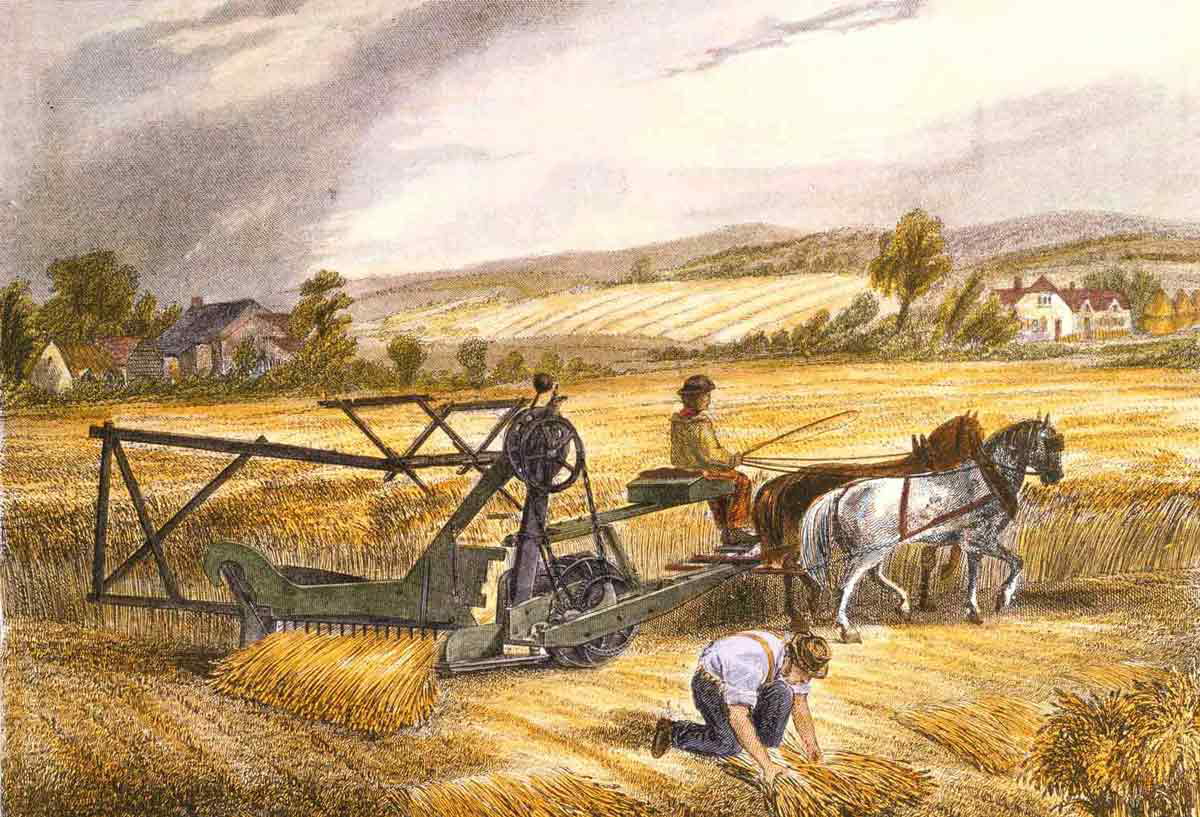 agriculture invention mccormick reaper