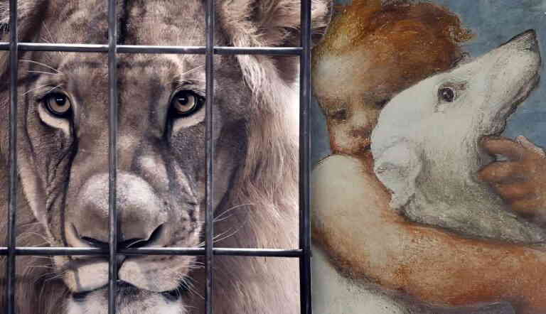 animal ethics three theories