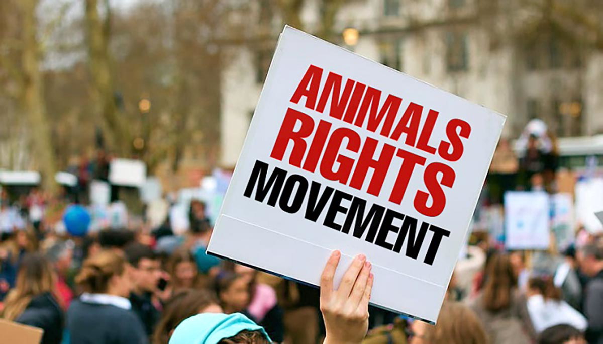 animal rights movement