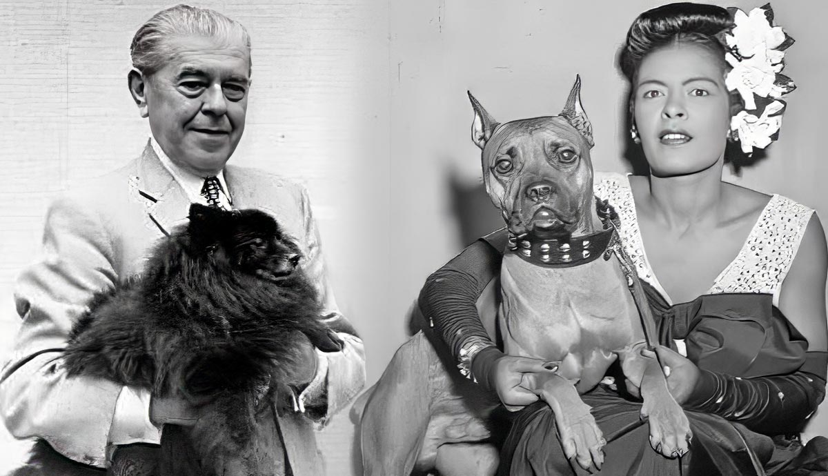 artists canine companions