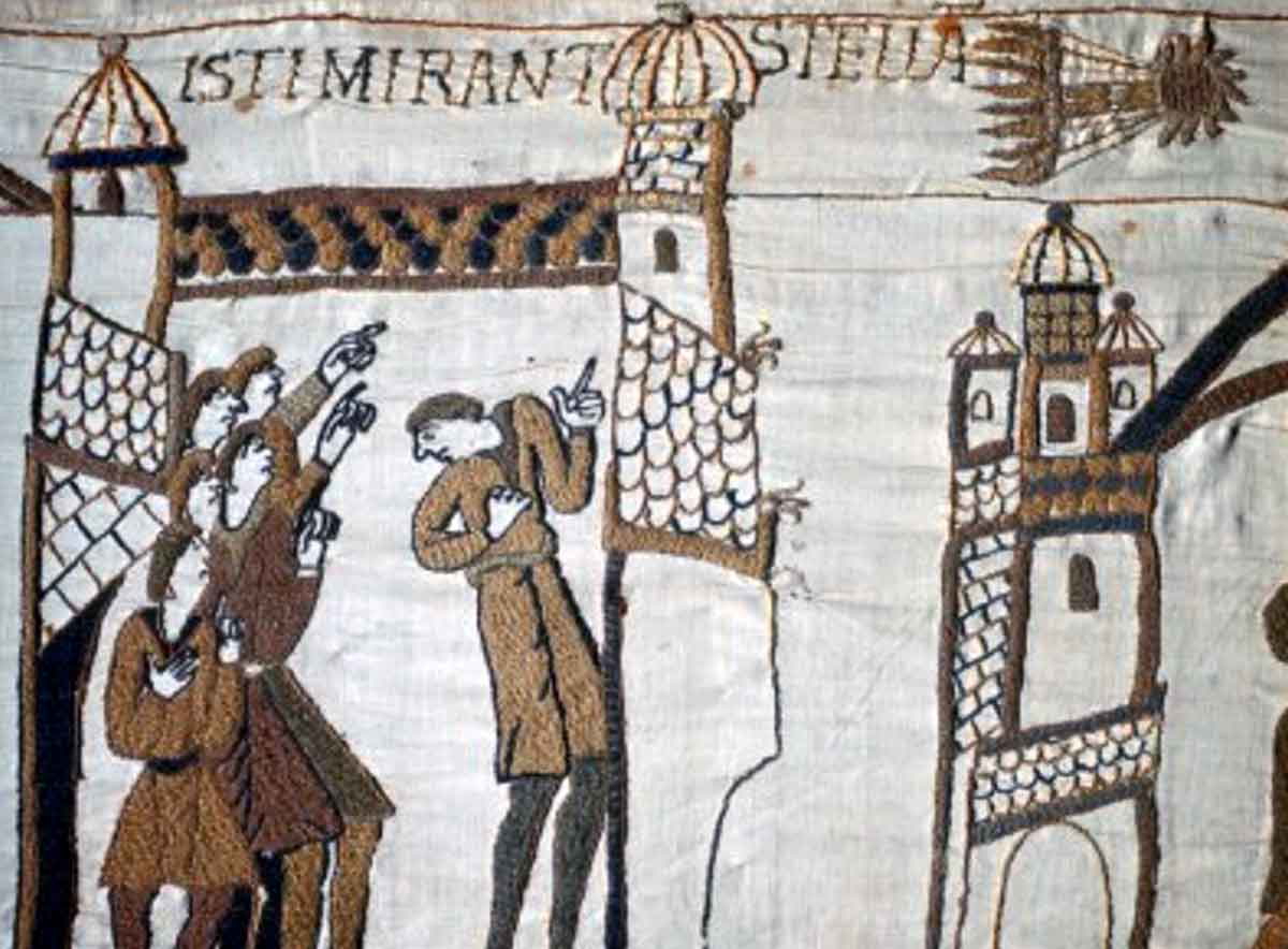 bayeux tapestry halleys comet